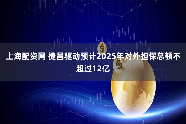 上海配资网 捷昌驱动预计2025年对外担保总额不超过12亿