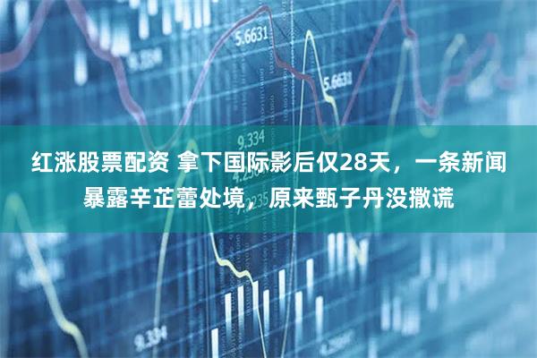 红涨股票配资 拿下国际影后仅28天,一条新闻暴露辛芷蕾处境,原来甄子丹没撒谎