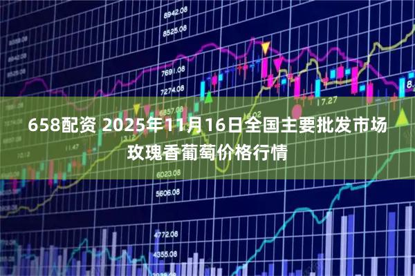 658配资 2025年11月16日全国主要批发市场玫瑰香葡萄价格行情
