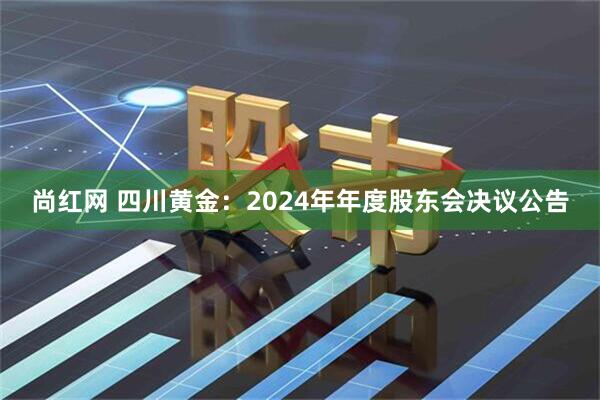 尚红网 四川黄金：2024年年度股东会决议公告
