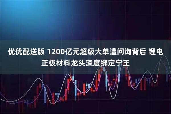 优优配送版 1200亿元超级大单遭问询背后 锂电正极材料龙头深度绑定宁王